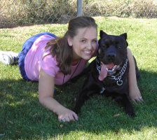 Utah Cane Corso
