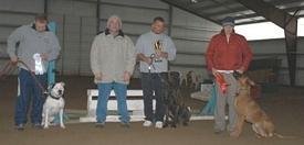 cane corso breeder utah