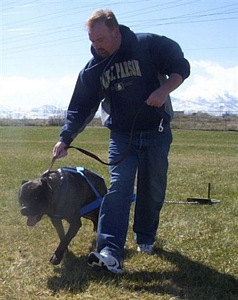 cane corso breeder utah
